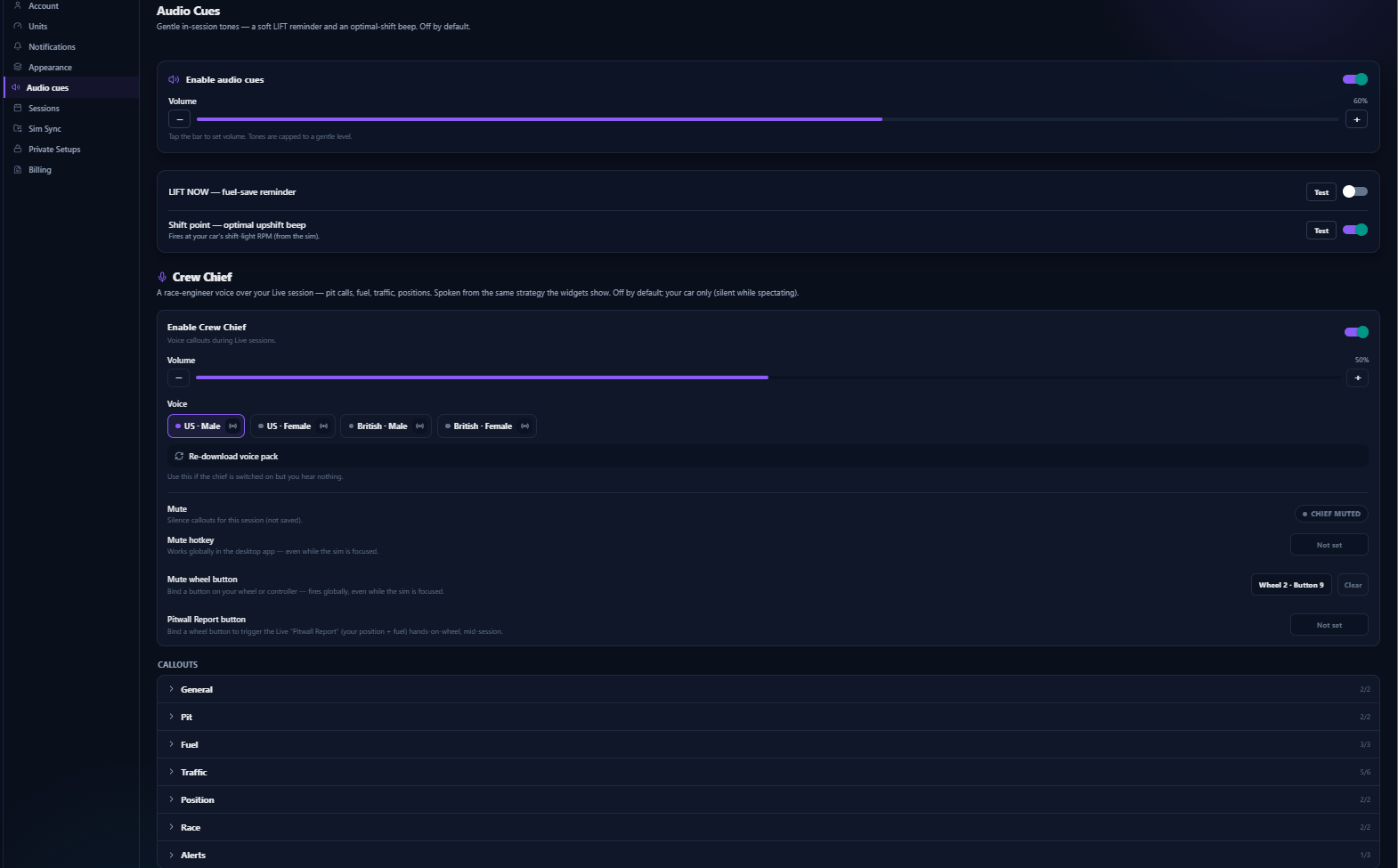 Settings → Race Engineer: Crew Chief voice picker (US & GB, male & female), audio cues and per-callout controls